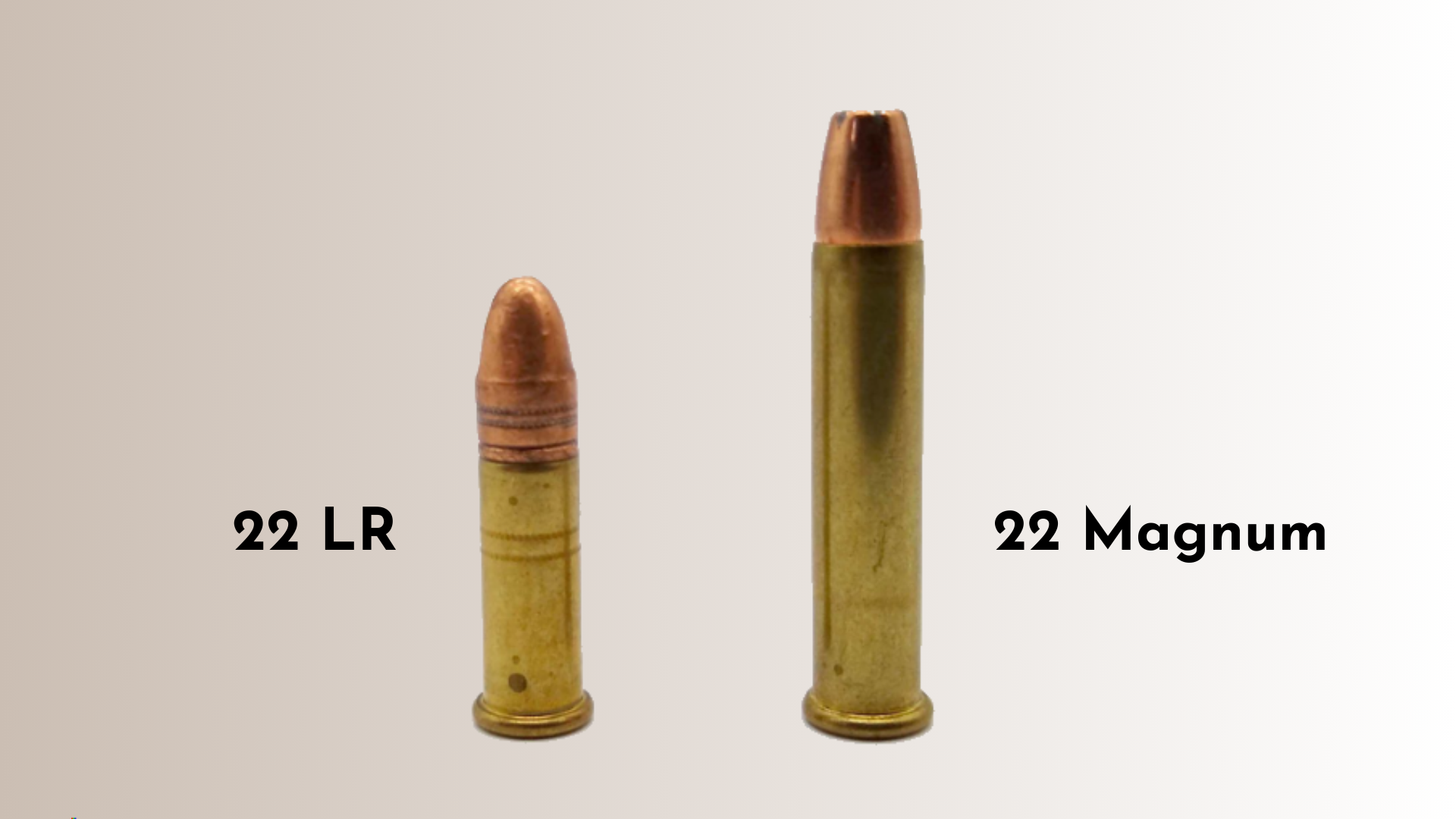 Cartouche 22LR vs 22 Magnum
