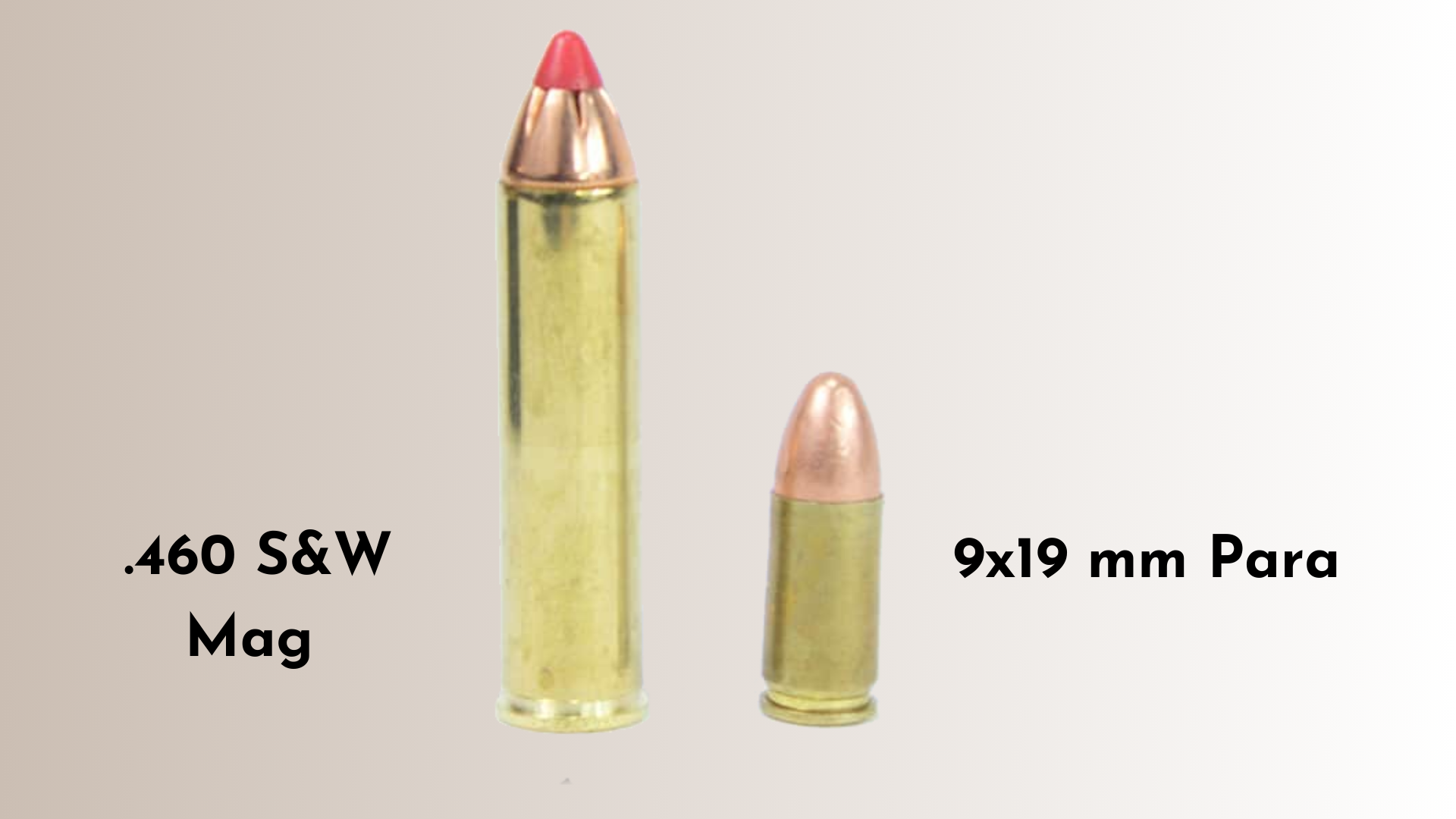 .460 S&W Mag vs 9x19 mm Para